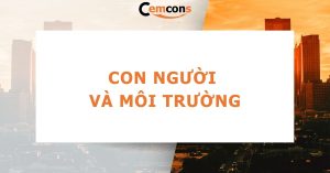 Con người và môi trường