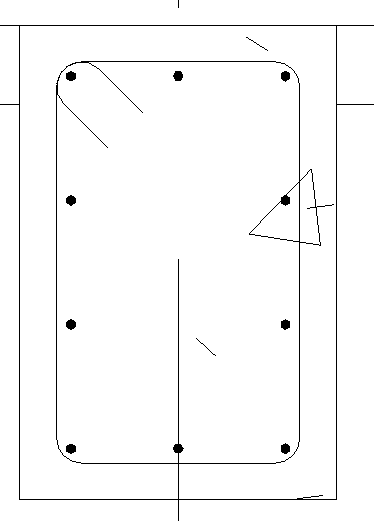 Bố trí thép cho dầm hiển thị trên View mặt cắt
